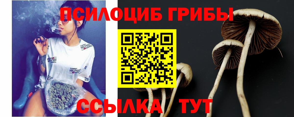 Галлюциногенные грибы ЛСД  Вход с VPN  Муром 